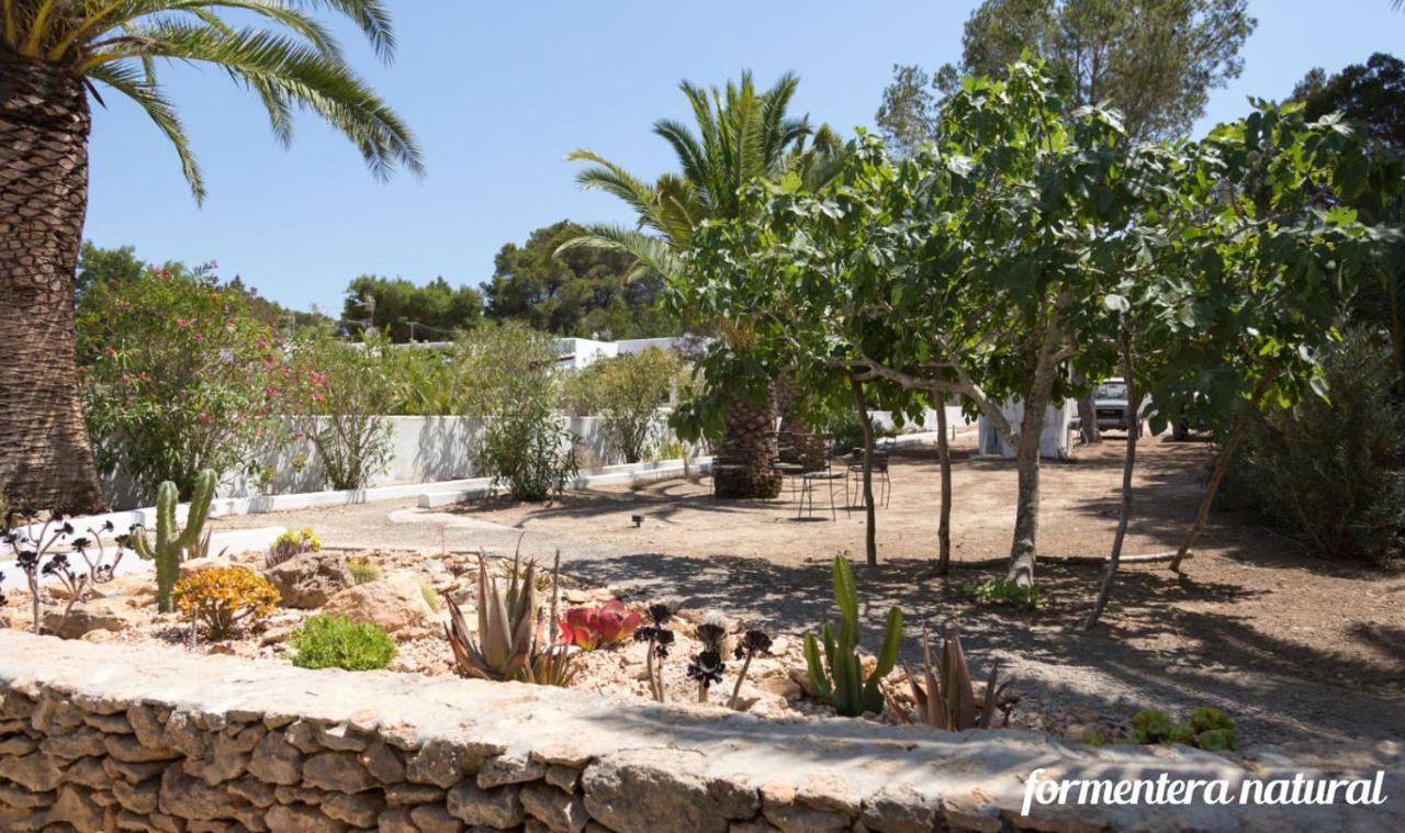Casas Emma Y Sofia - Formentera Natural San Francisco Javier